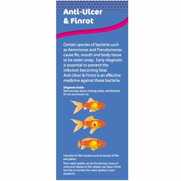Nt Labs Ulcer & Finrot 100ml The WaterZoo Tropical fish marine